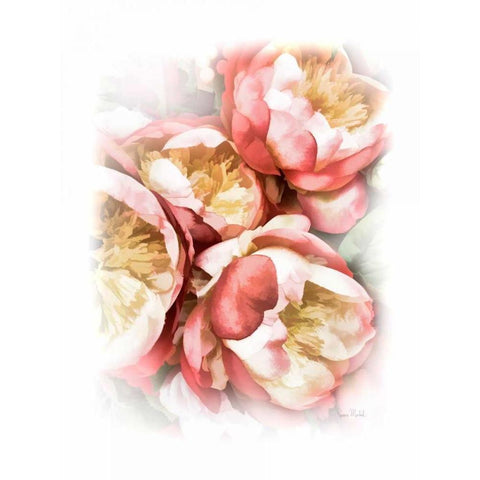 Peach Peony White Modern Wood Framed Art Print by Murdock, Ramona