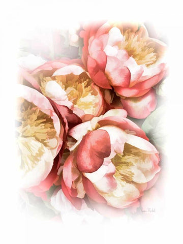 Peach Peony White Modern Wood Framed Art Print with Double Matting by Murdock, Ramona