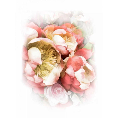 Peach Peony II Black Modern Wood Framed Art Print with Double Matting by Murdock, Ramona