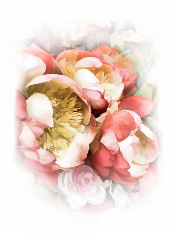 Peach Peony II Black Ornate Wood Framed Art Print with Double Matting by Murdock, Ramona