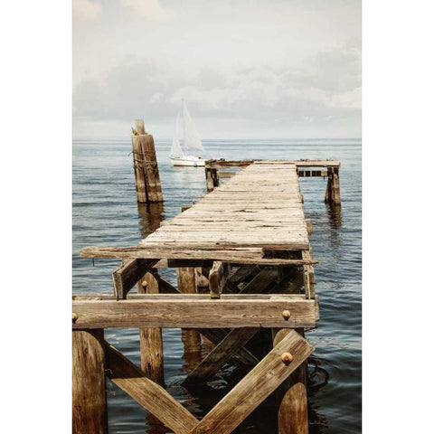 Relaxing II Black Modern Wood Framed Art Print by Murdock, Ramona