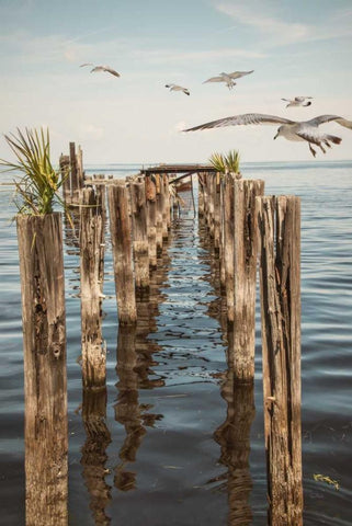Quite Abandoned Black Ornate Wood Framed Art Print with Double Matting by Murdock, Ramona