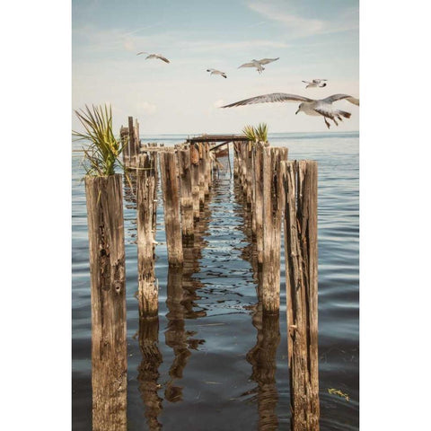 Quite Abandoned Black Modern Wood Framed Art Print with Double Matting by Murdock, Ramona