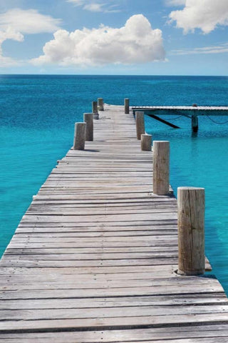 Other World White Modern Wood Framed Art Print with Double Matting by Murdock, Ramona