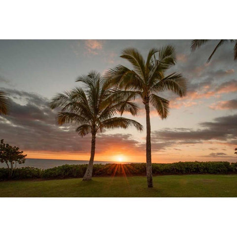 Sunset Palms Black Modern Wood Framed Art Print with Double Matting by Murdock, Ramona