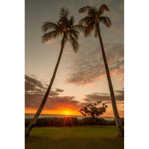 Sunset Palms II Black Modern Wood Framed Art Print by Murdock, Ramona