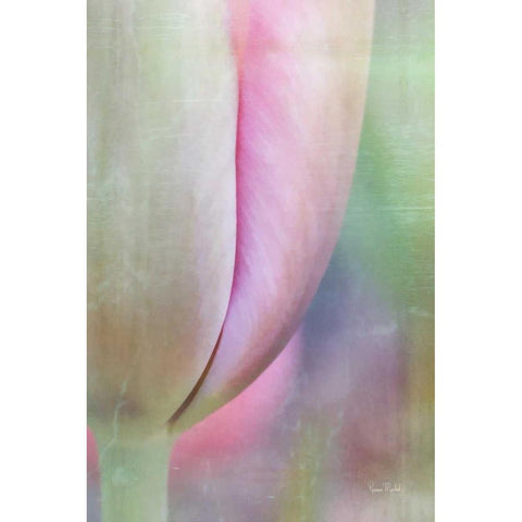 Spring Beauty White Modern Wood Framed Art Print by Murdock, Ramona