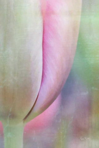 Spring Beauty Black Ornate Wood Framed Art Print with Double Matting by Murdock, Ramona