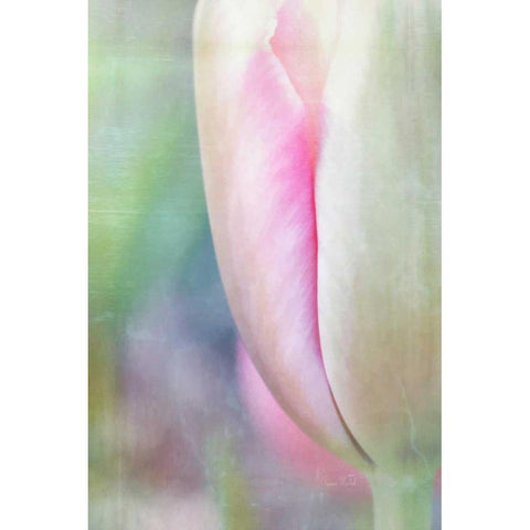 Spring Beauty II Black Modern Wood Framed Art Print by Murdock, Ramona