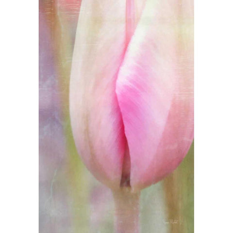 Spring Beauty III Black Modern Wood Framed Art Print with Double Matting by Murdock, Ramona