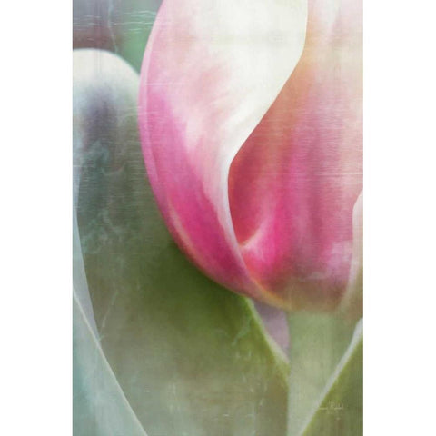 Spring Beauty IV Gold Ornate Wood Framed Art Print with Double Matting by Murdock, Ramona