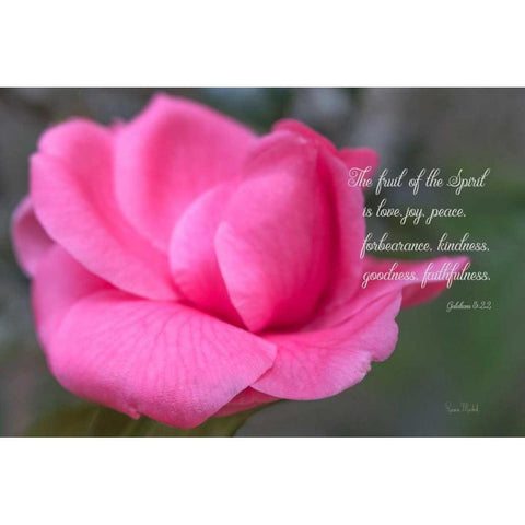 Fruit of the Spirit Black Modern Wood Framed Art Print with Double Matting by Murdock, Ramona