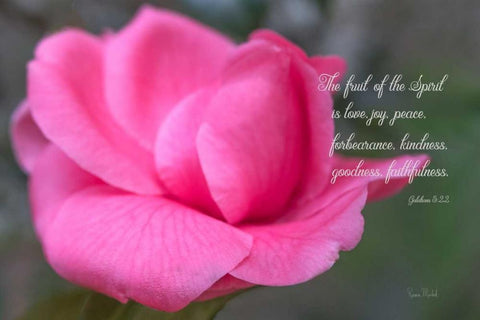 Fruit of the Spirit Black Ornate Wood Framed Art Print with Double Matting by Murdock, Ramona