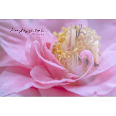 Give Thanks in All Things White Modern Wood Framed Art Print by Murdock, Ramona