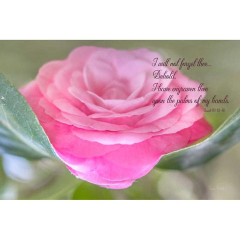 In His Hands Black Modern Wood Framed Art Print with Double Matting by Murdock, Ramona