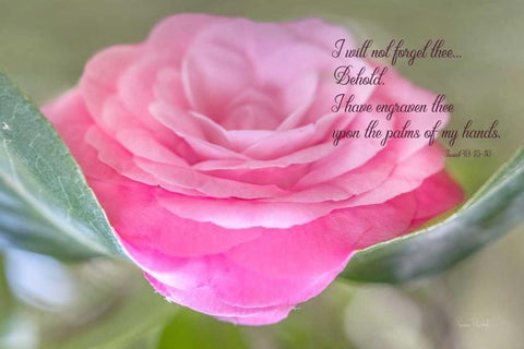 In His Hands White Modern Wood Framed Art Print with Double Matting by Murdock, Ramona