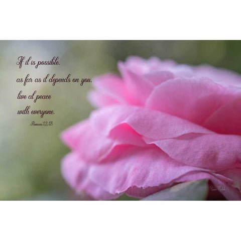 Live at Peace Black Modern Wood Framed Art Print with Double Matting by Murdock, Ramona