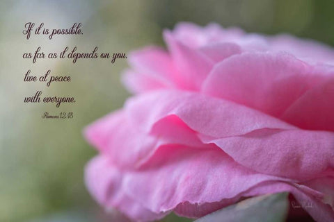 Live at Peace White Modern Wood Framed Art Print with Double Matting by Murdock, Ramona