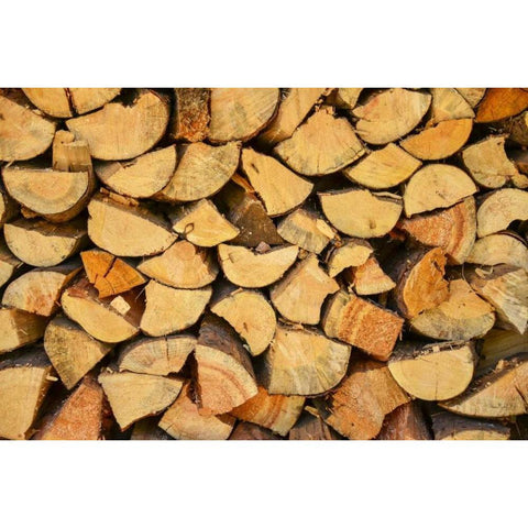 Wood Pile I White Modern Wood Framed Art Print by Murdock, Ramona