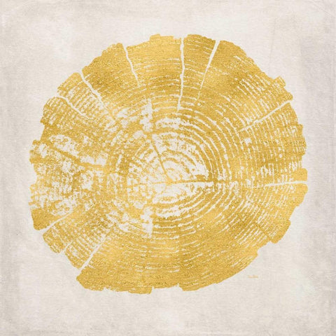 Tree Stump Golden I White Modern Wood Framed Art Print with Double Matting by Murdock, Ramona