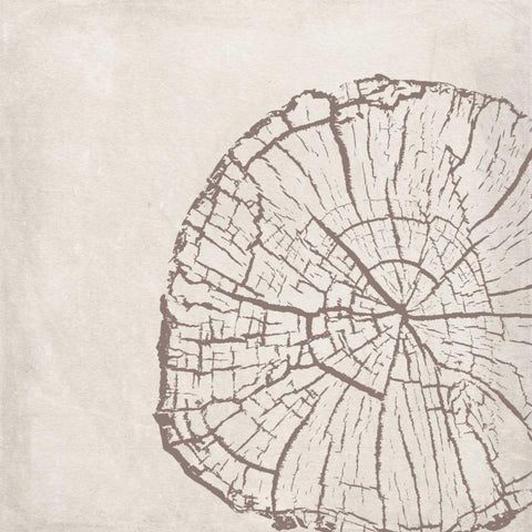 Tree Stump Taupe White Modern Wood Framed Art Print with Double Matting by Murdock, Ramona