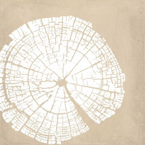 Tree Stump White Reverse White Modern Wood Framed Art Print by Murdock, Ramona