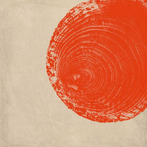 Tree Stump Tangerine Black Modern Wood Framed Art Print with Double Matting by Murdock, Ramona