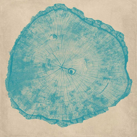 Tree Stump  White Modern Wood Framed Art Print by Murdock, Ramona