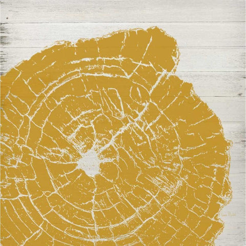 Tree Rings I White Modern Wood Framed Art Print by Murdock, Ramona