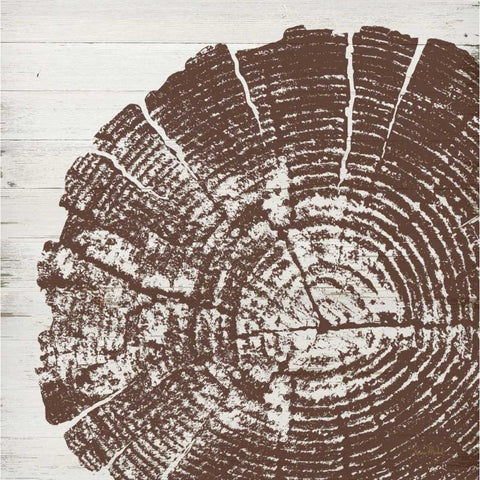Tree Rings III Black Modern Wood Framed Art Print with Double Matting by Murdock, Ramona
