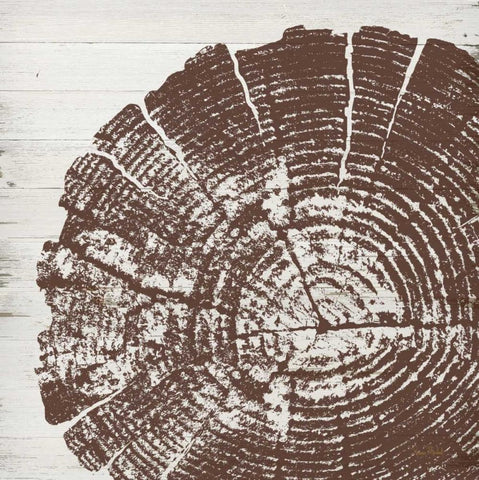 Tree Rings III Black Ornate Wood Framed Art Print with Double Matting by Murdock, Ramona