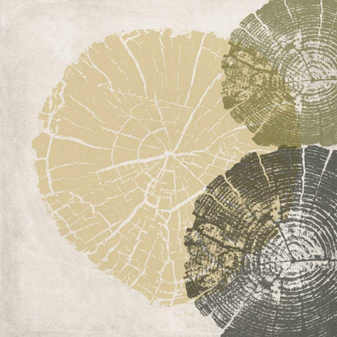 Three Tree Ring Black Modern Wood Framed Art Print by Murdock, Ramona