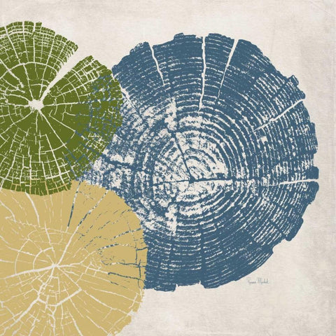 Three Tree Ring II White Modern Wood Framed Art Print by Murdock, Ramona