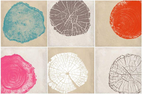 Tree Stump Composite White Modern Wood Framed Art Print with Double Matting by Murdock, Ramona