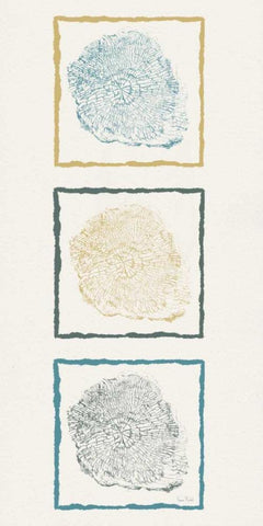 Stump Triptych I Black Ornate Wood Framed Art Print with Double Matting by Murdock, Ramona