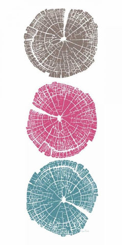 Stump Triptych Black Ornate Wood Framed Art Print with Double Matting by Murdock, Ramona