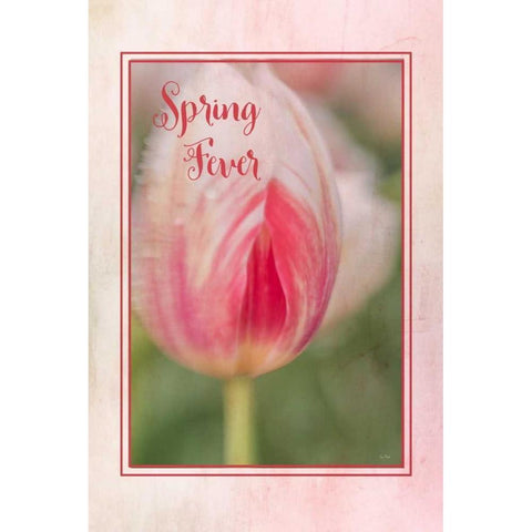 Spring Fever Black Modern Wood Framed Art Print with Double Matting by Murdock, Ramona