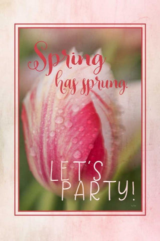 Spring Has Sprung White Modern Wood Framed Art Print with Double Matting by Murdock, Ramona