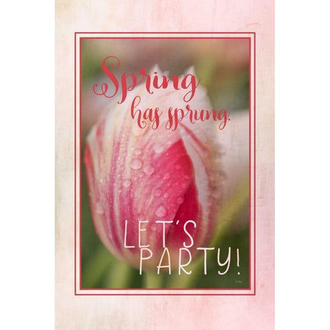 Spring Has Sprung White Modern Wood Framed Art Print by Murdock, Ramona