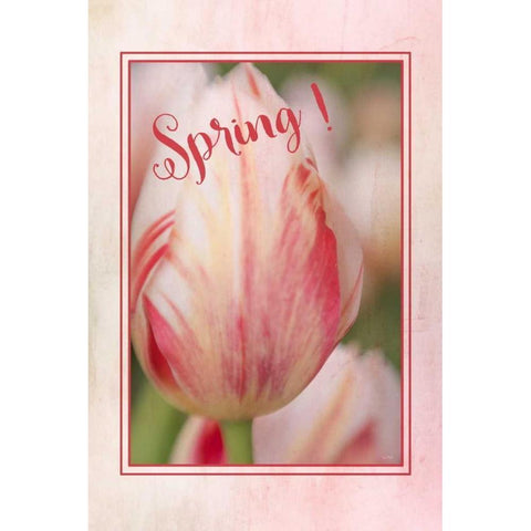 Spring! Black Modern Wood Framed Art Print with Double Matting by Murdock, Ramona