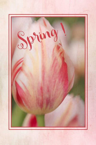 Spring! White Modern Wood Framed Art Print with Double Matting by Murdock, Ramona