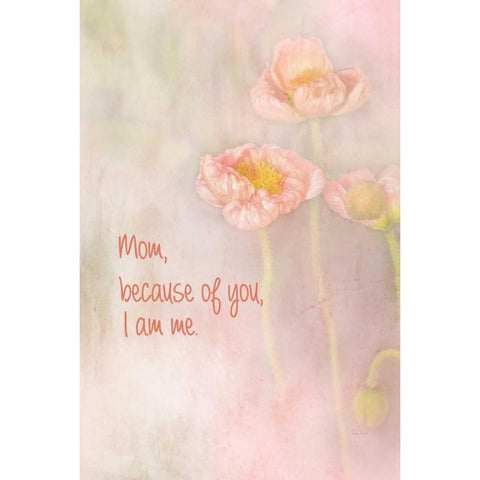 Mom Because of You I Am Me Black Modern Wood Framed Art Print with Double Matting by Murdock, Ramona