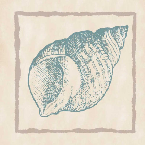 Shell I Black Modern Wood Framed Art Print by Murdock, Ramona