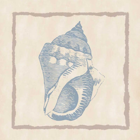 Shell II Black Modern Wood Framed Art Print by Murdock, Ramona