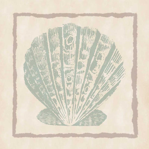 Shell III White Modern Wood Framed Art Print with Double Matting by Murdock, Ramona