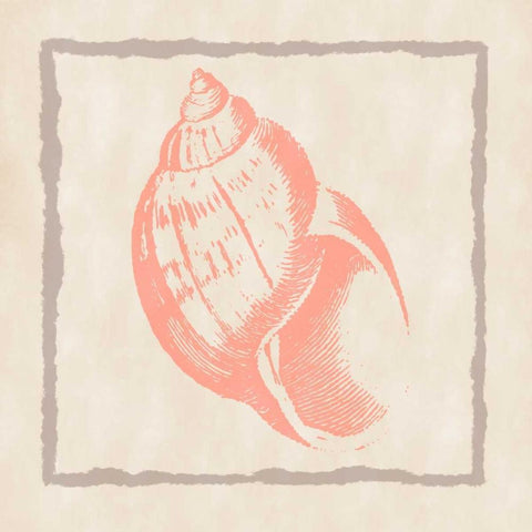 Shell IV Gold Ornate Wood Framed Art Print with Double Matting by Murdock, Ramona