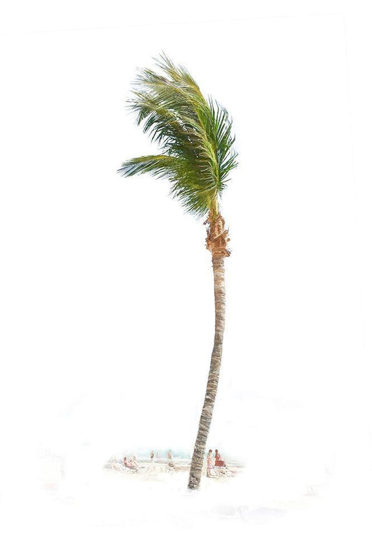 Image Only