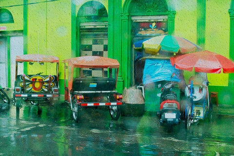 Rainy Day Iquitos Peru Black Ornate Wood Framed Art Print with Double Matting by Murdock, Ramona