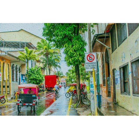Rainy Street Iquitos Peru Gold Ornate Wood Framed Art Print with Double Matting by Murdock, Ramona
