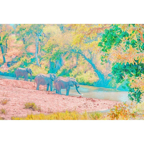 Waterhole Rendezvous I Gold Ornate Wood Framed Art Print with Double Matting by Murdock, Ramona